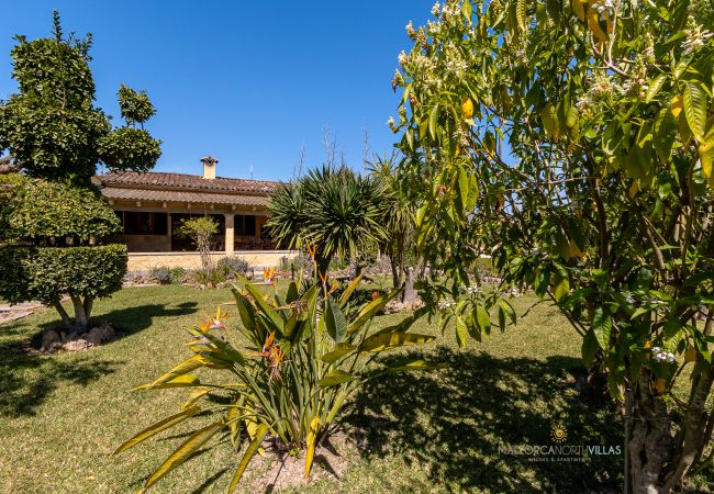 Jardín mediterráneo y fachada de La Sort Llarga Pollença Vegetación y fachada de la finca La Sort Llarga, Mallorca