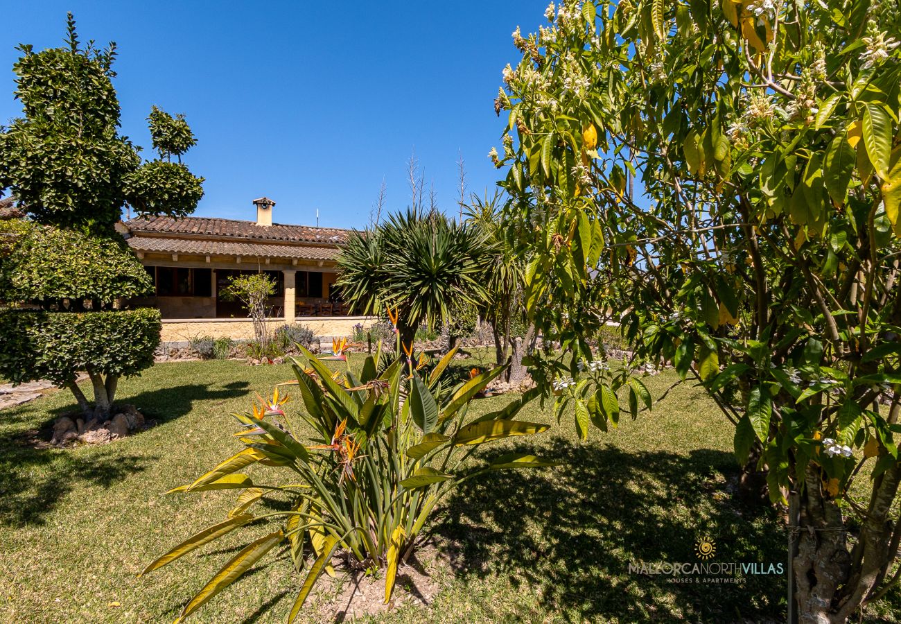 Jardín mediterráneo y fachada de La Sort Llarga Pollença Vegetación y fachada de la finca La Sort Llarga, Mallorca