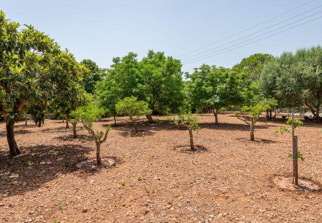 Villa en Pollensa - Villa Can Mena Villa en Pollensa - Villa Can Mena
