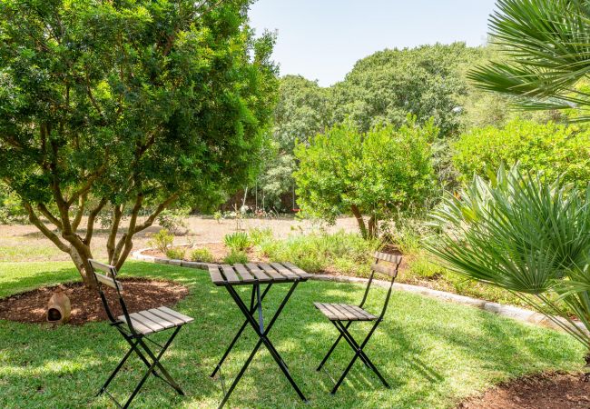 Villa en Pollensa - Villa Can Mena Villa en Pollensa - Villa Can Mena