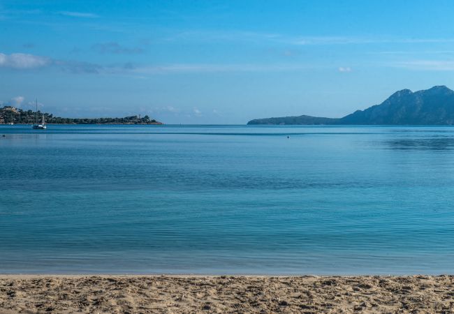 Finca in Inca - Finca Ca'n Porxet Finca in Inca - Finca Ca'n Porxet