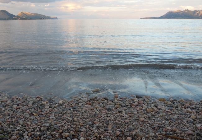 Finca in Inca - Finca Ca'n Porxet Finca in Inca - Finca Ca'n Porxet