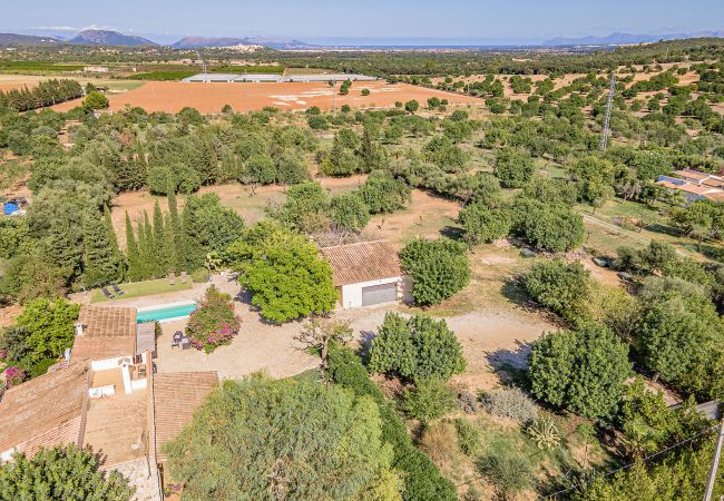 Finca in Inca - Finca Ca'n Porxet Finca in Inca - Finca Ca'n Porxet