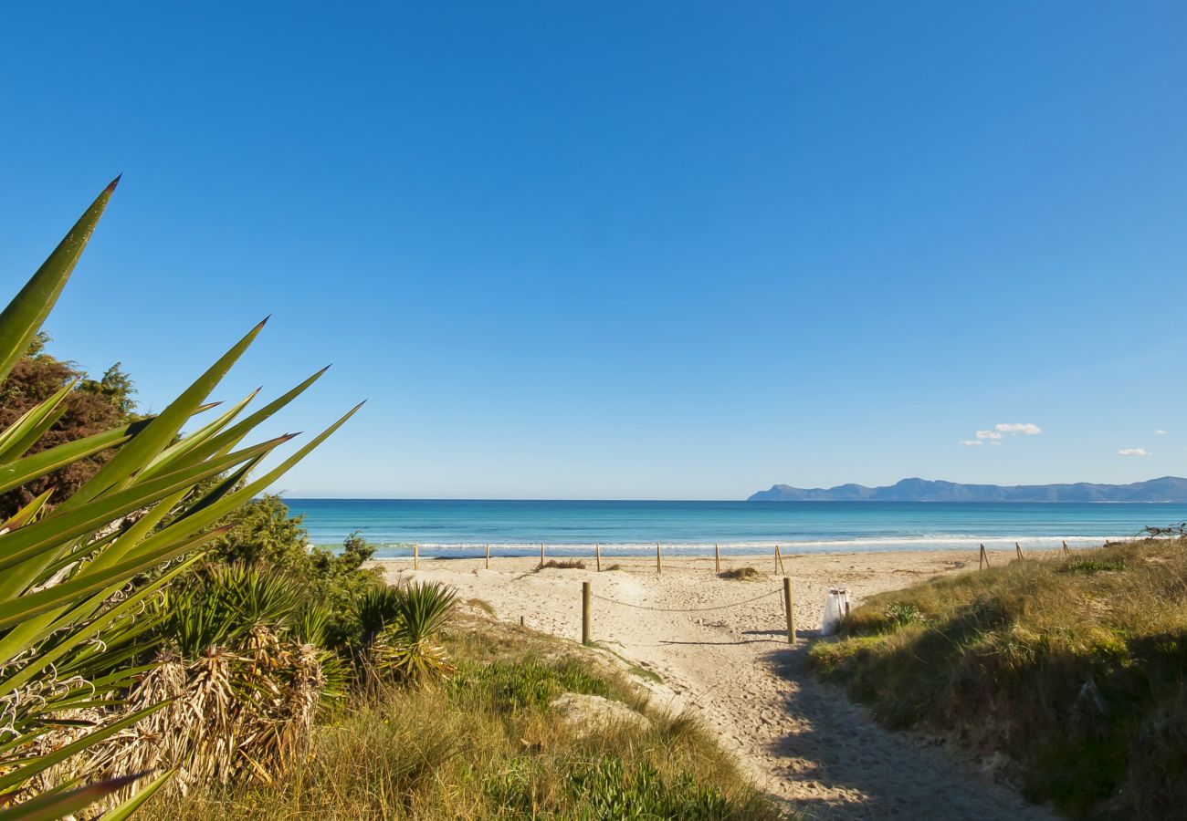 Finca in Inca - Finca Ca'n Porxet Finca in Inca - Finca Ca'n Porxet