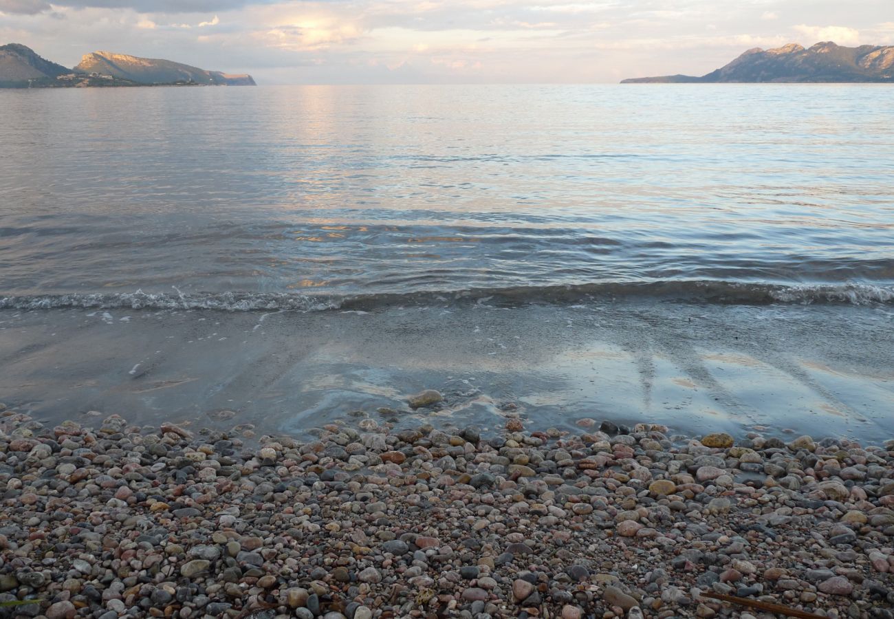 Finca in Inca - Finca Ca'n Porxet Finca in Inca - Finca Ca'n Porxet