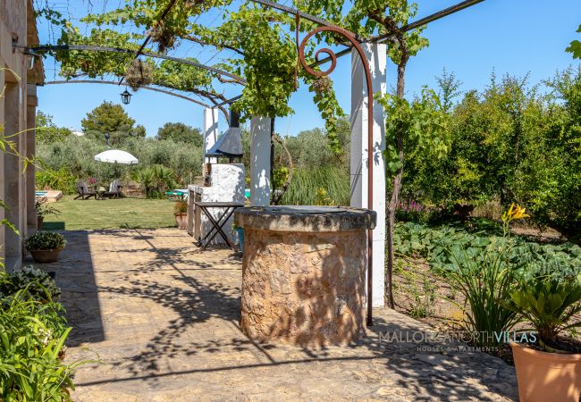 Terrasse mit Steinbrunnen und Grill im Garten Terrasse mit Steinbrunnen und Grill, umgeben von mediterranem Garten