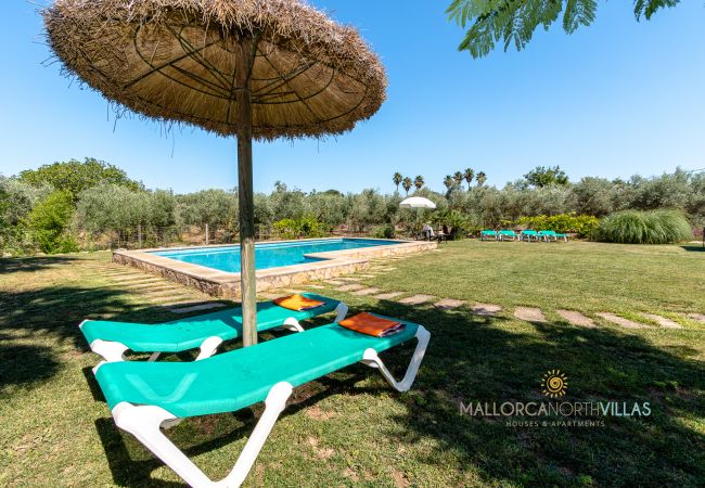 Pool mit Liegestühlen und Sonnenschirm in Mallorca Pool mit Liegestühlen und Strohrschirm in Ferienfinca Mallorca