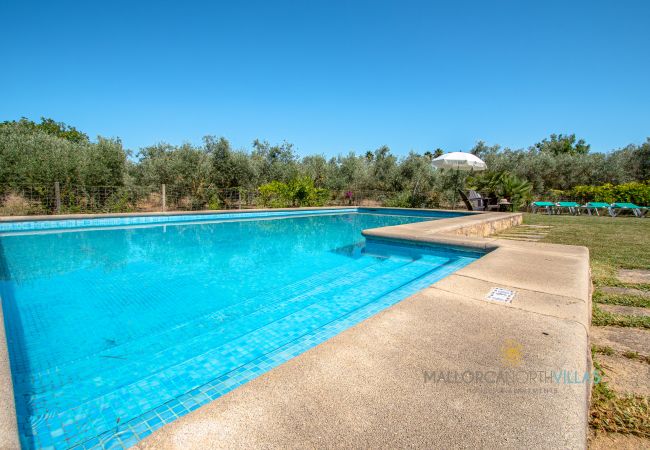 Privater Pool der Ferienfinca auf Mallorca Privater Außenpool in mallorquinischer Finca, umgeben von Natur
