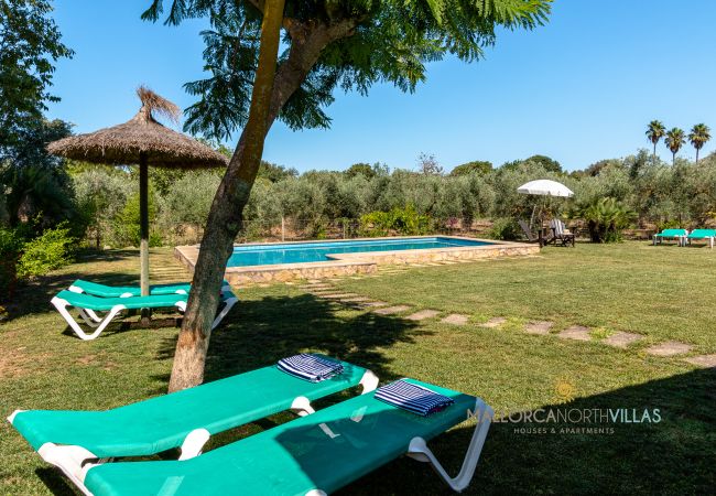 Pool mit Liegen und Sonnenschirmen im Garten Pool in großem mediterranem Garten mit grünen Liegen und Strohund Stoffsonnenschirmen zum Entspannen.