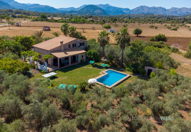 Luftaufnahme der Finca mit Pool und Olivenbäumen auf Mallorca Finca en pierre avec piscine et jardin, entourée d’oliviers et de montagnes en arrière-plan.