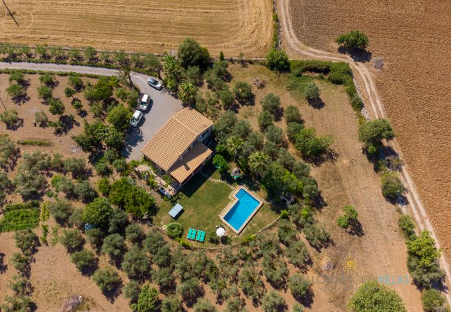 Luftaufnahme der Finca mit Pool und Olivenbäumen auf Mallorca Draufsicht auf Finca mit Pool und Garten, umgeben von Olivenbäumen und Feldern auf Mallorca.