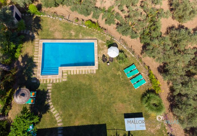 Luftaufnahme des rechteckigen Pools mit Sonnenliegen Draufsicht auf rechteckigen Pool mit Liegen, Sonnenschirm und mediterranem Garten.