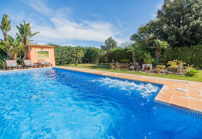 Villa in Pollensa - Villa Ca Na Francisca Villa in Pollensa - Villa Ca Na Francisca