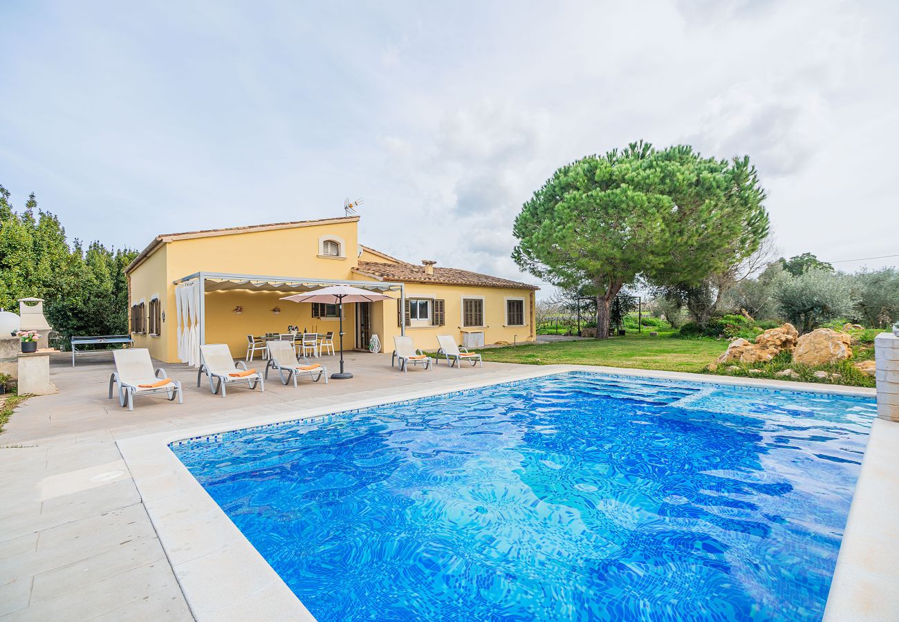 Villa in Alcudia - Villa Can Paxaco