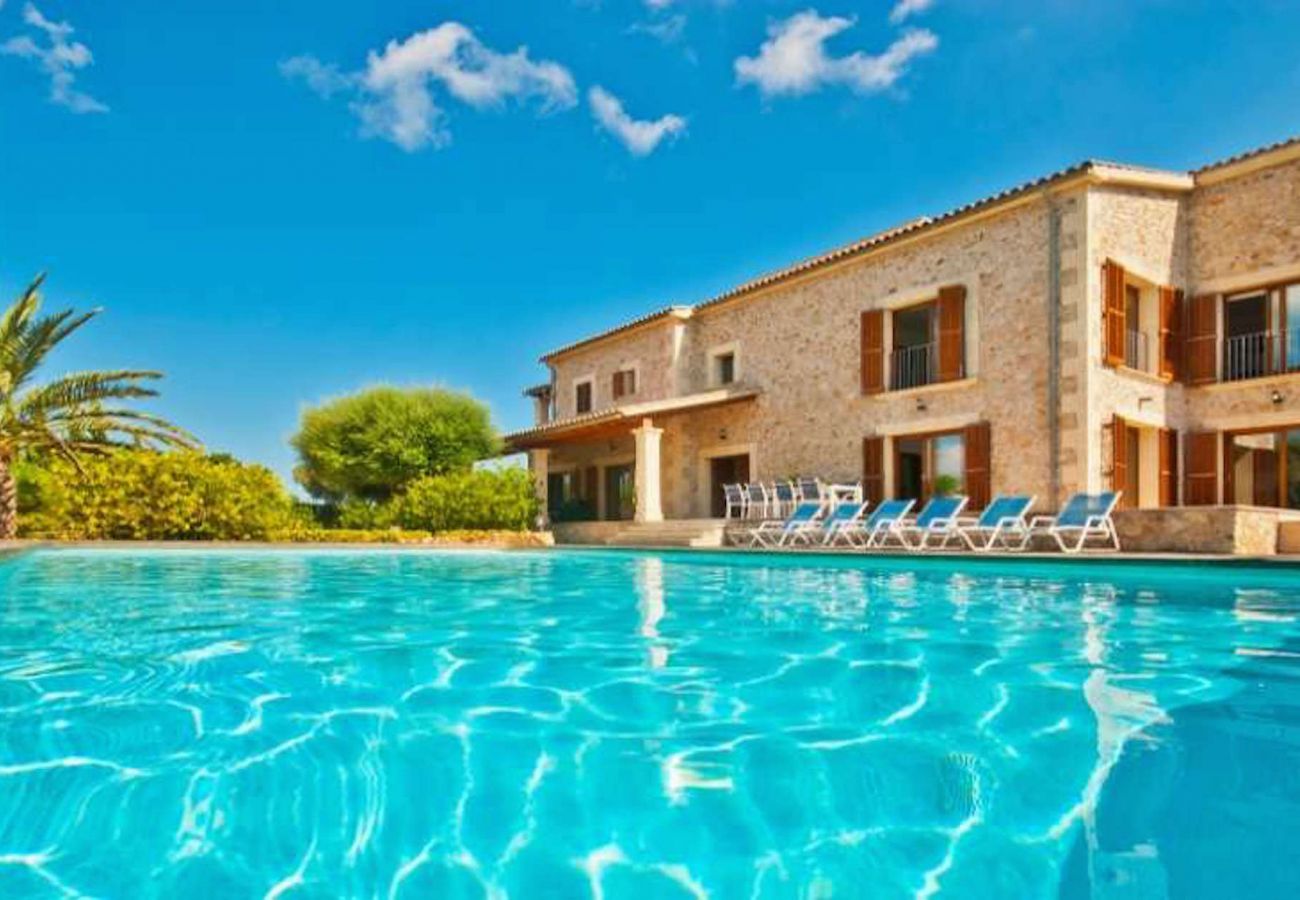 Swimming pool and sun loungers Swimming pool and sun loungers