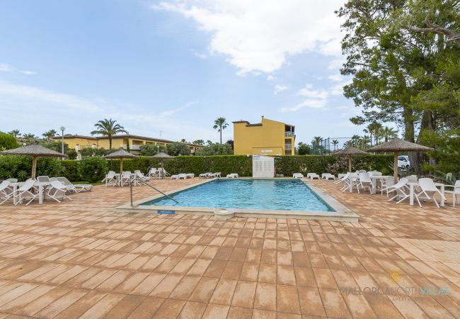 Apartment in Port de Pollença - Club del Sol 8: Acogedor Apartamento con Piscina Apartment in Port de Pollença - Club del Sol 8: Acogedor Apartamento con Piscina