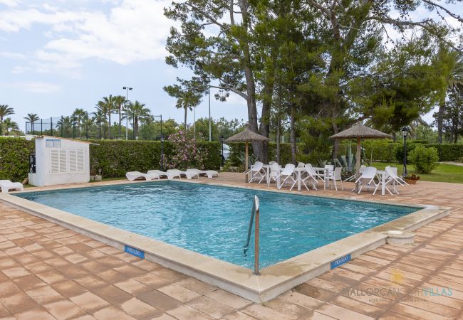 Apartment in Port de Pollença - Club del Sol 8: Acogedor Apartamento con Piscina Apartment in Port de Pollença - Club del Sol 8: Acogedor Apartamento con Piscina