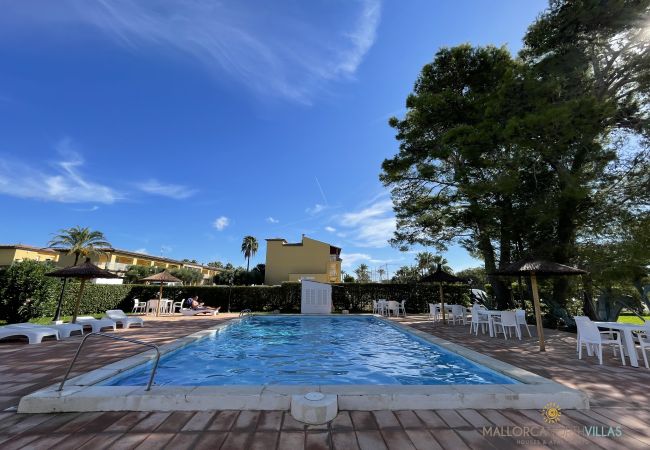 Apartment in Port de Pollença - Club del Sol 8: Acogedor Apartamento con Piscina Apartment in Port de Pollença - Club del Sol 8: Acogedor Apartamento con Piscina