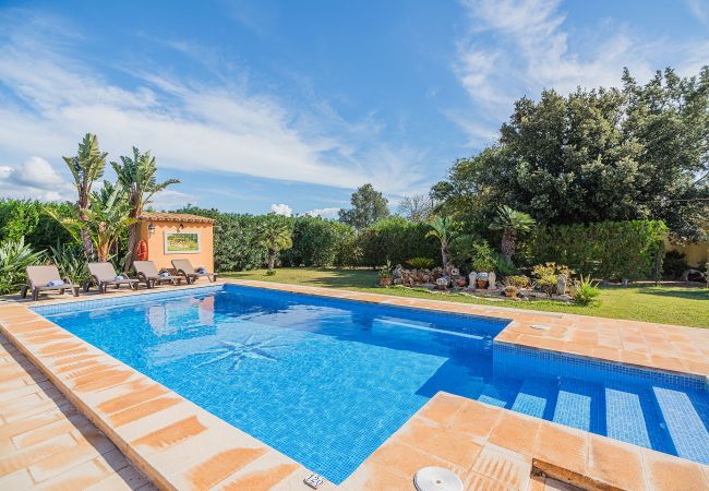 Villa in Pollensa - Villa Ca Na Francisca Villa in Pollensa - Villa Ca Na Francisca